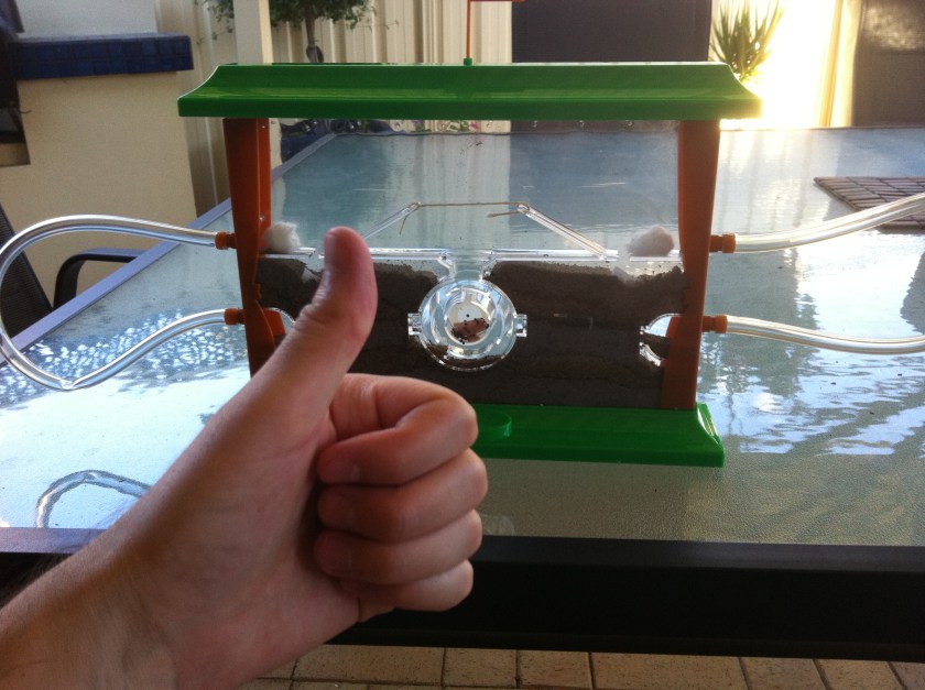 The thumbs-up of approval