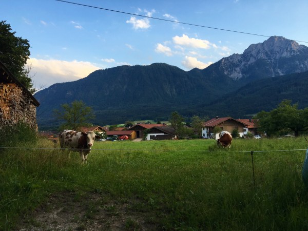 I spent most of my time in Jechling, just near the border with Austria in southern Bavaria.